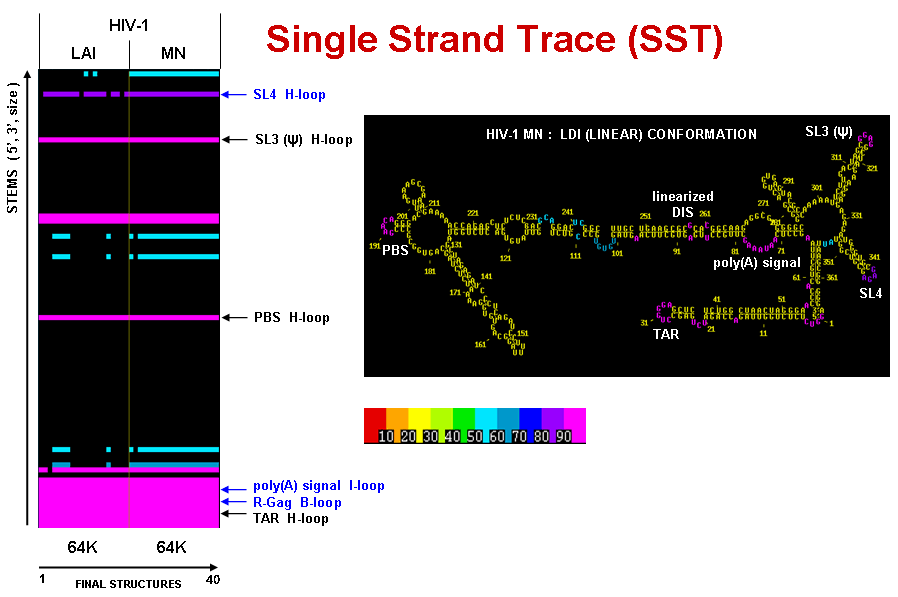 Single Strand Trace