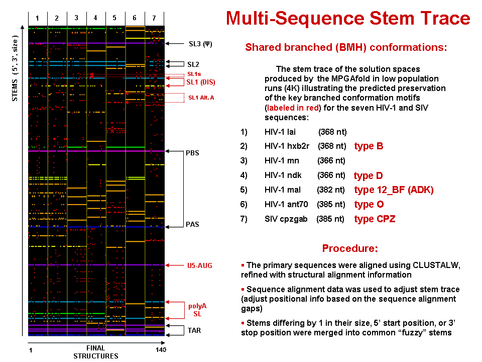 Multi-Sequence Stem Trace