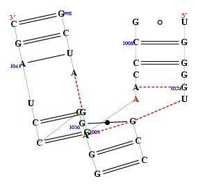 secondary structure of junction 8416