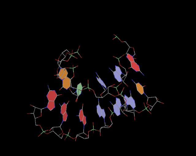 3d structure of junction