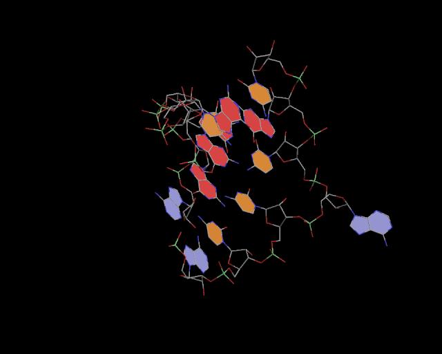 3d structure of junction