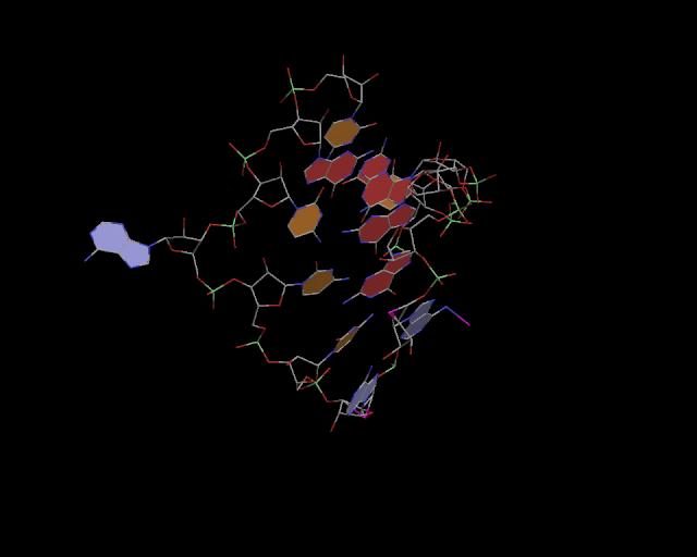 3d structure of junction