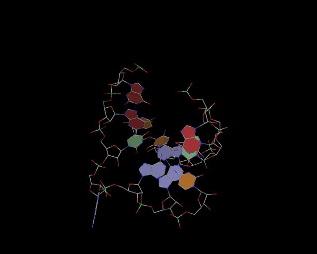 3d structure of junction