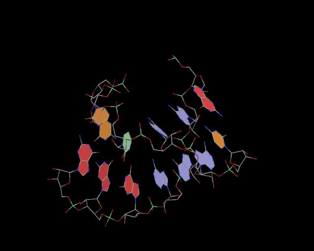 3d structure of junction