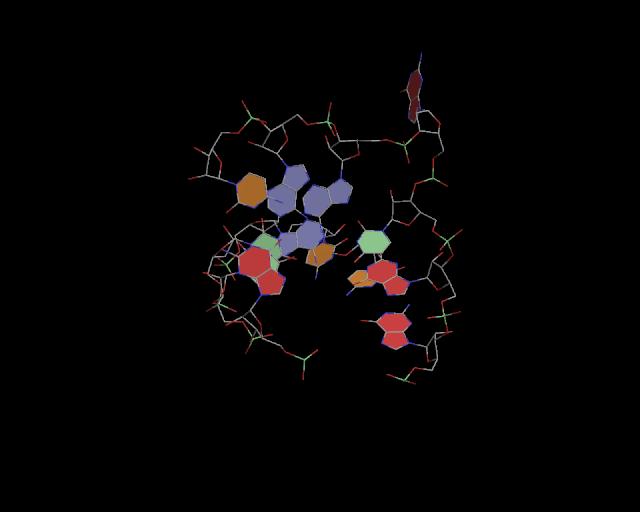 3d structure of junction