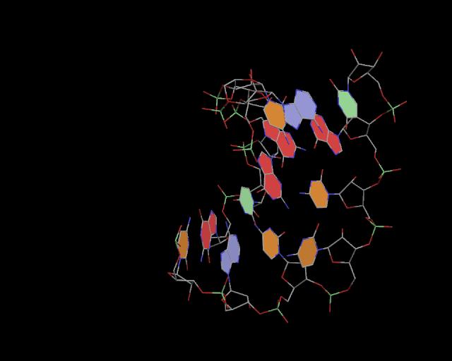 3d structure of junction