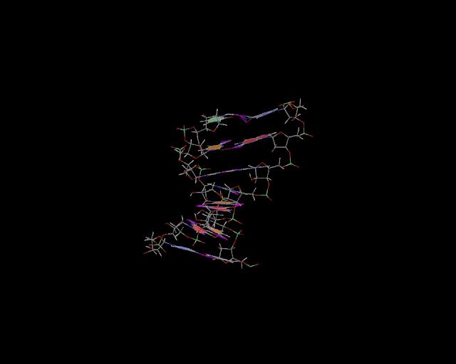 3d structure of junction