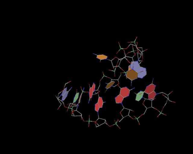 3d structure of junction