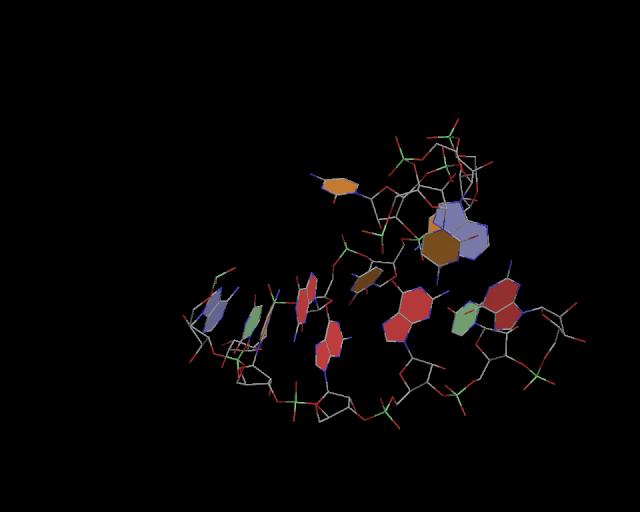 3d structure of junction