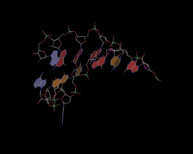 3d structure of junction