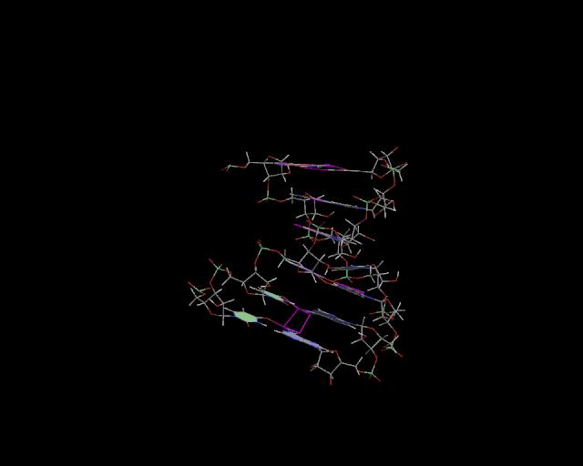 3d structure of junction