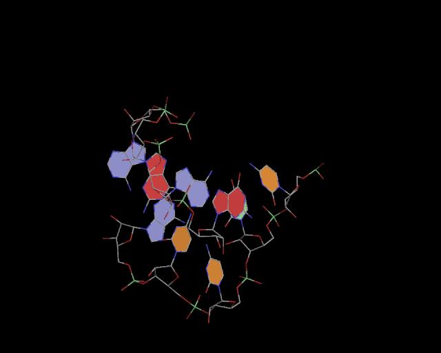 3d structure of junction