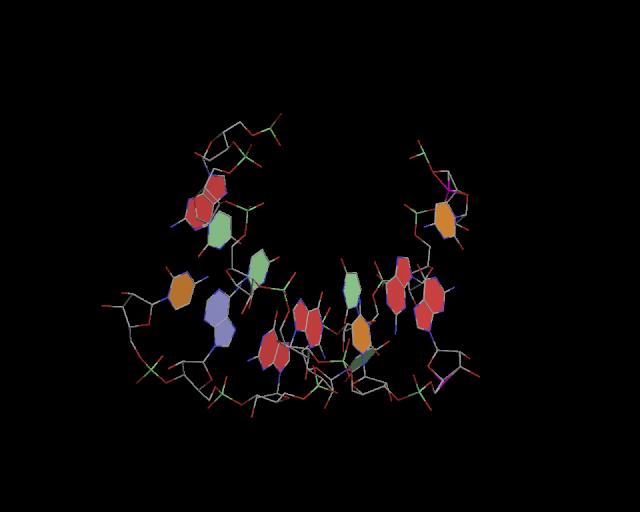 3d structure of junction