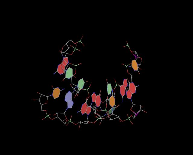 3d structure of junction