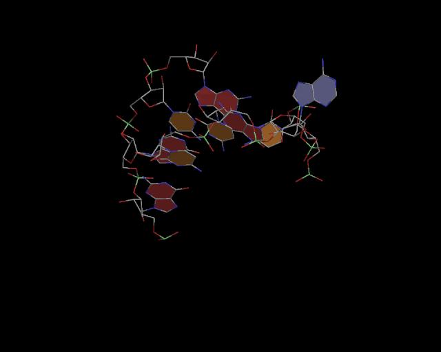 3d structure of junction