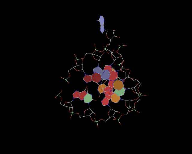 3d structure of junction