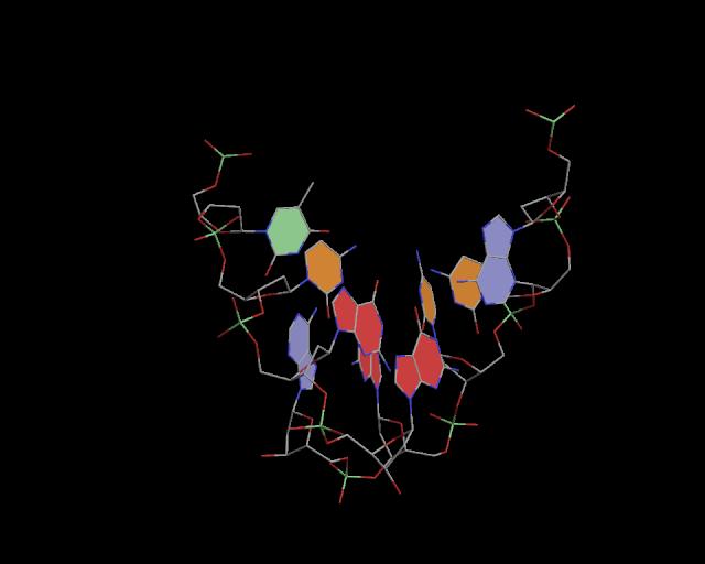 3d structure of junction
